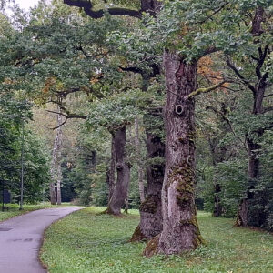 dsc0050