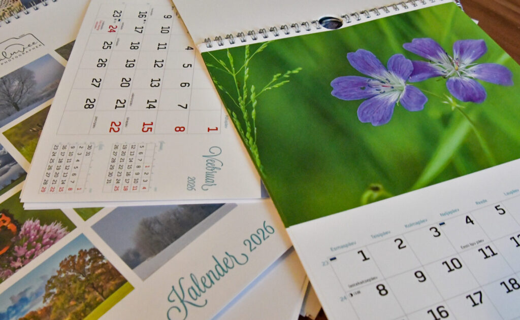 Tule ja avasta, mida uut olen loonud.  Kalender
